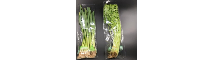 Celery Preservation Secrets: Keeping Freshness for a Long Time