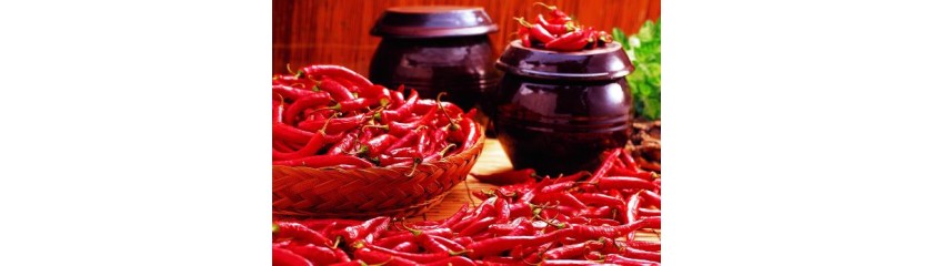 How To Store Chili Peppers? 10 Tips For Saving Chili Peppers