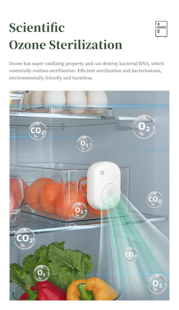 Refrigerator Air Purifier & Sterilizer